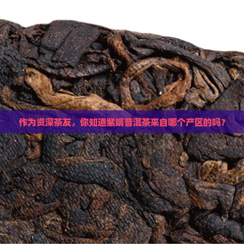 紫娟普洱茶是哪个产区的