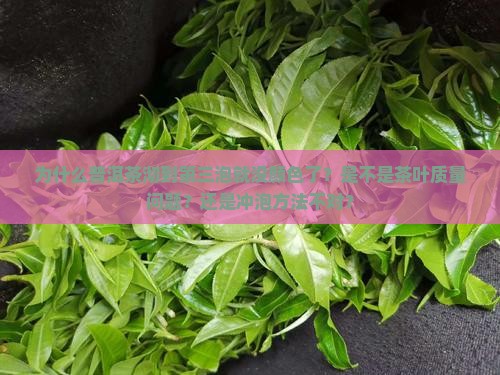 普洱茶沏到第三泡没颜色了