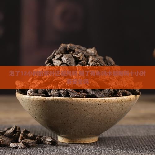 泡了12小时的茶叶还能用吗