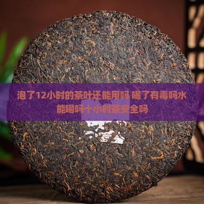 泡了12小时的茶叶还能用吗