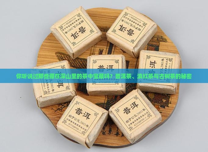 普洱茶滇红茶古树茶