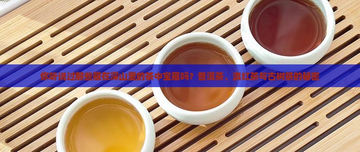 普洱茶滇红茶古树茶