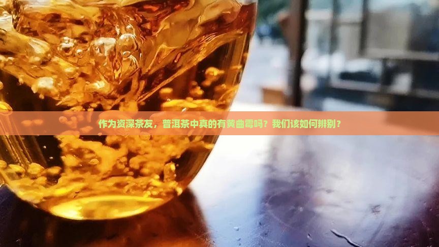 普洱茶真的含有黄曲霉吗