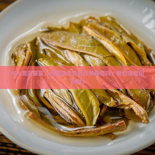 普洱茶真的含有黄曲霉吗