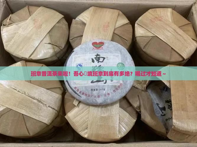 吾心禪境班章普洱茶