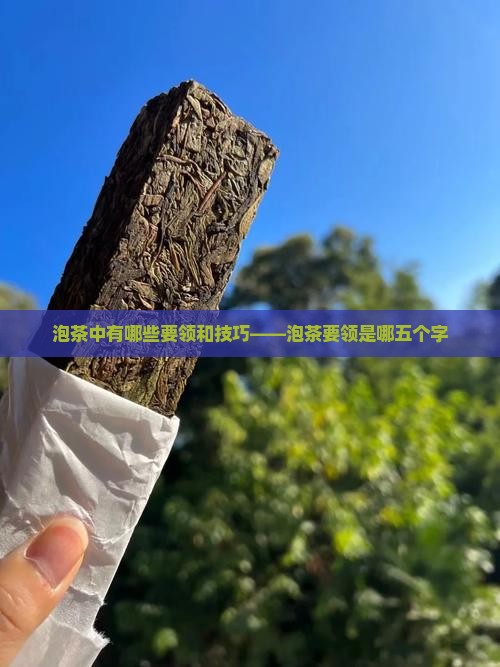 泡茶中有哪些要领