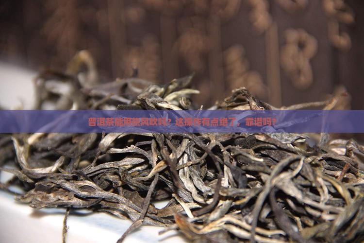 普洱茶可以用热风吹吗