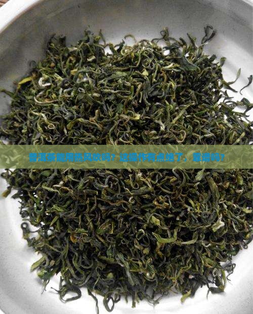 普洱茶可以用热风吹吗
