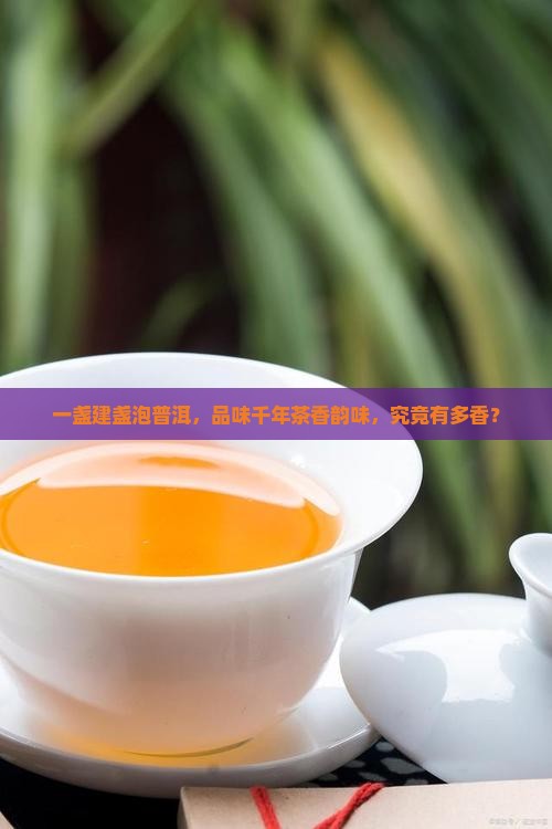 建盏盖碗泡普洱茶