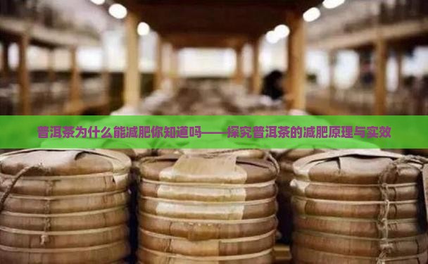 普洱茶为什么能减肥你知道吗
