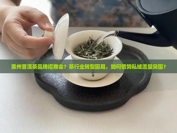 惠州普洱茶品牌招商会