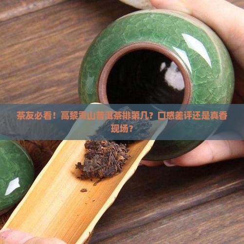 普洱茶排名高黎贡山