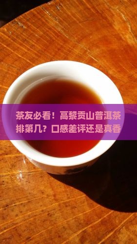 普洱茶排名高黎贡山