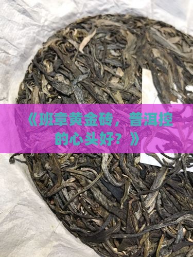 黄金砖普洱茶班章