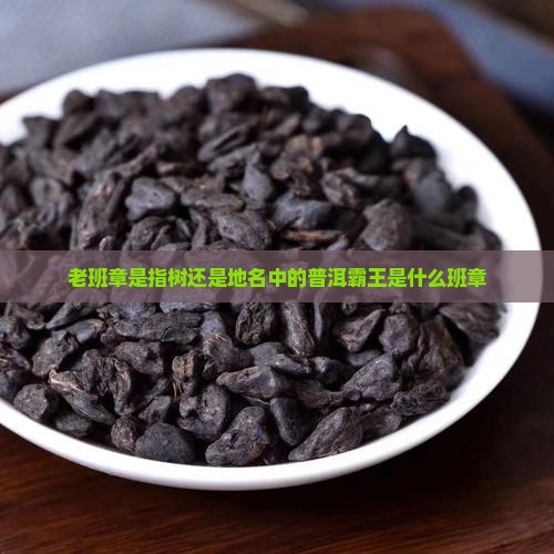 老班章是指树还是地名