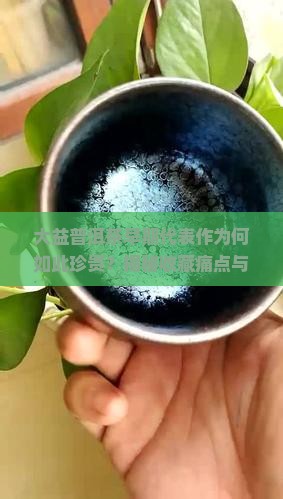 大益普洱茶早期代表作