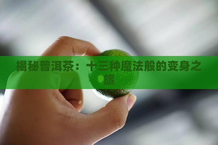 普洱茶的13种变化 普洱茶的13种变化