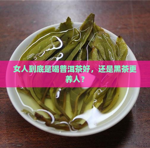 女人喝普洱茶好还是黑茶好