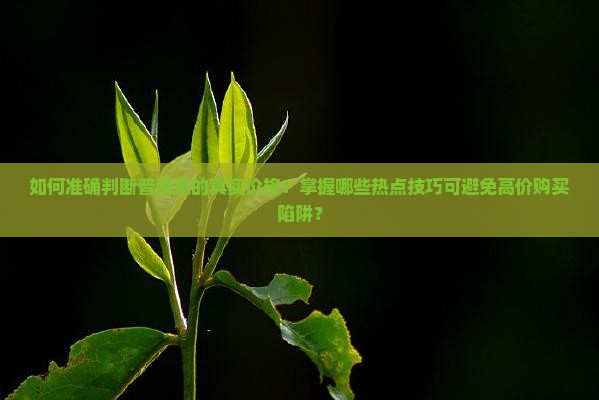 怎样辨别普洱茶价格