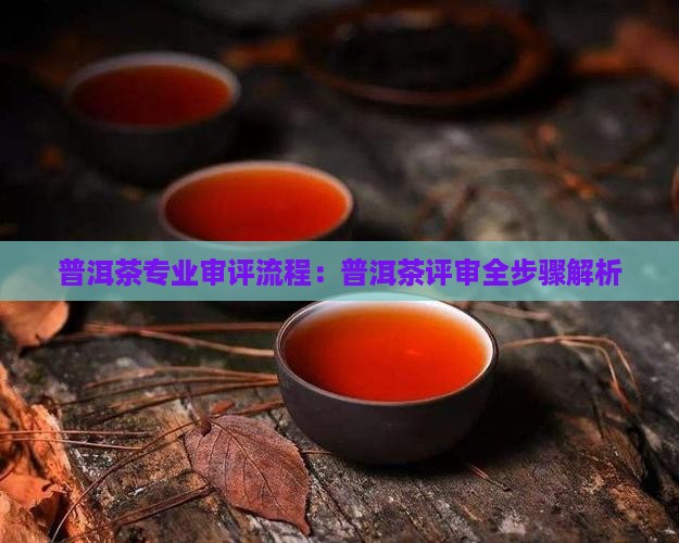 熟普洱茶评审过程