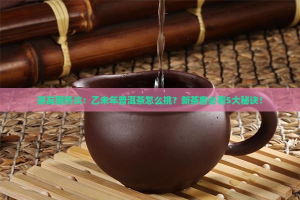 乙未年的普洱茶