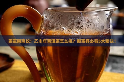乙未年的普洱茶