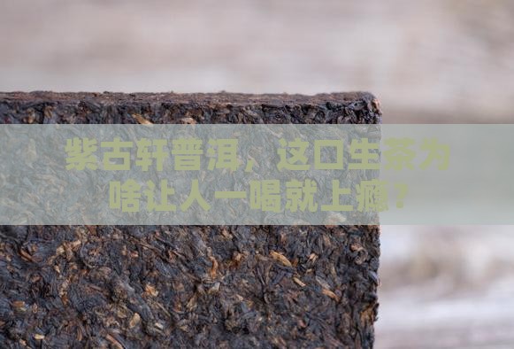 紫古轩普洱茶生茶