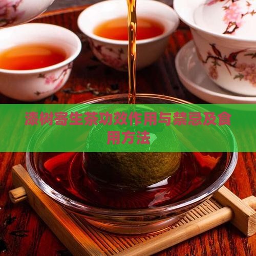漆树寄生茶功效作用