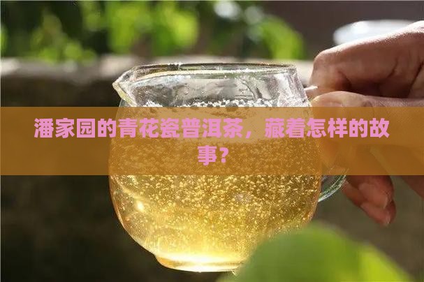潘家园大雅斋青花瓷普洱茶