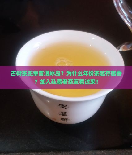 古树茶班章普洱冰岛