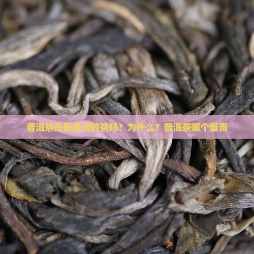 普洱茶是最名贵的茶吗