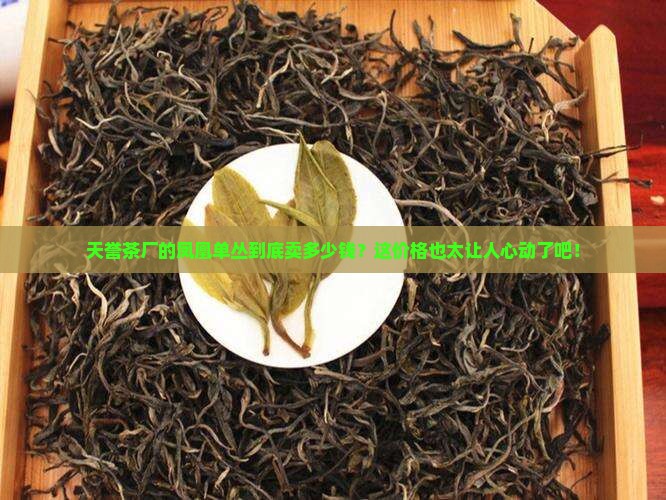 天誉茶厂凤凰单丛价钱