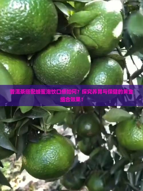 普洱茶加蜂蜜泡好喝吗