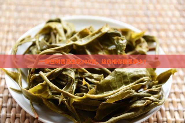 一饼古树普洱生茶200克多少钱
