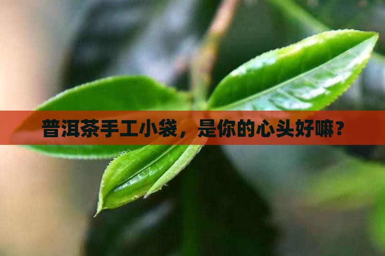普洱茶纯手工袋