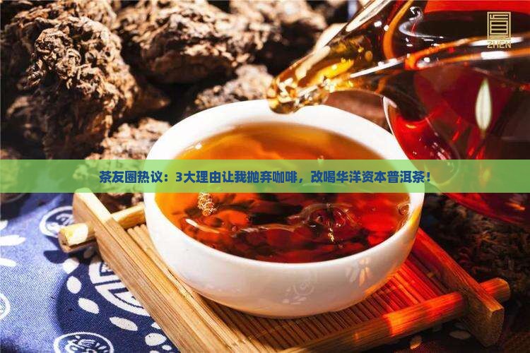 华洋资本普洱茶