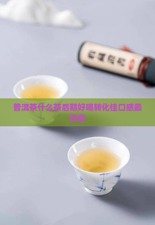 普洱茶什么茶后期好