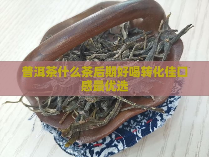 普洱茶什么茶后期好