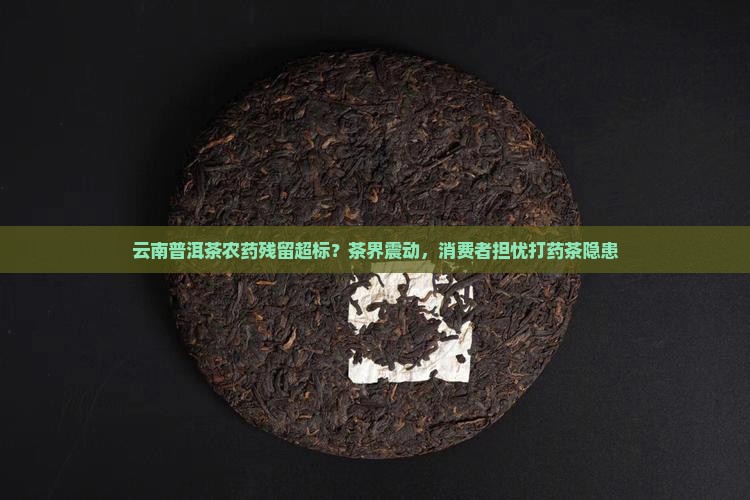 云南普洱茶农药残留