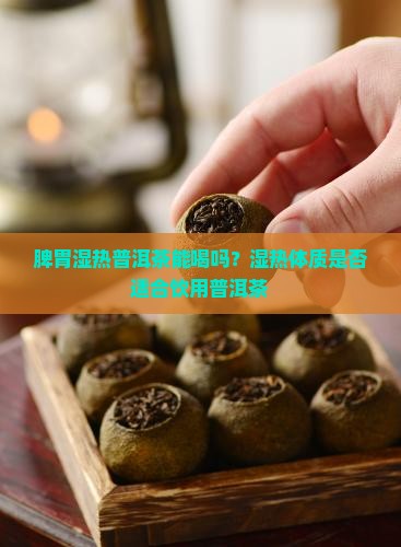 脾胃湿热普洱茶