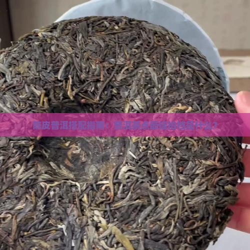 陈皮普洱茶配什么茶点茶好