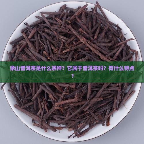 象山普洱茶是什么茶种