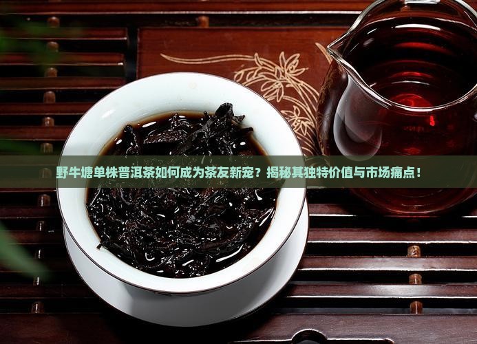 野牛塘单株普洱茶