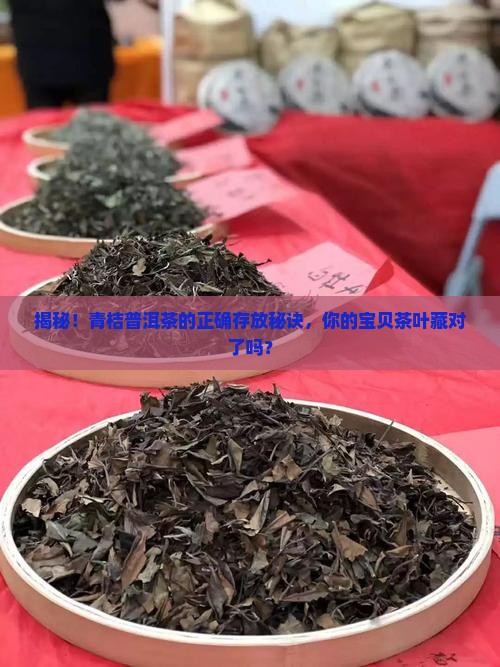 青桔普洱茶存放