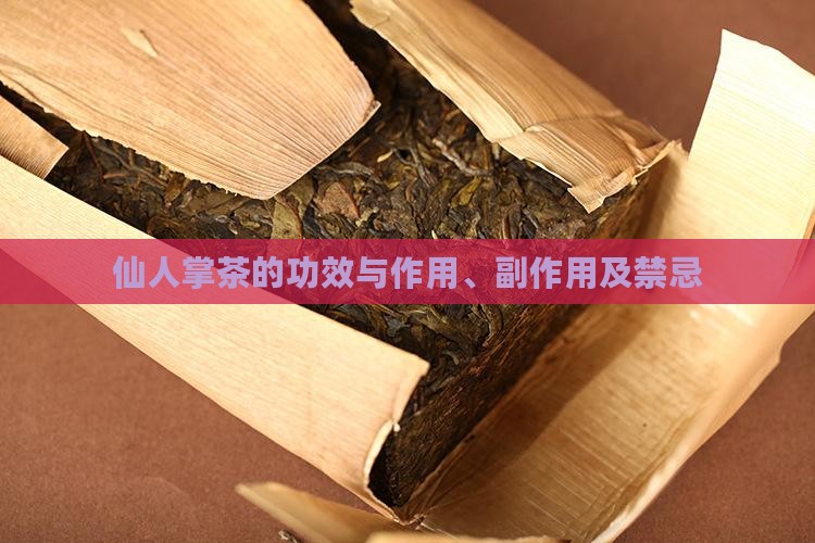 仙人掌茶的功效与作用