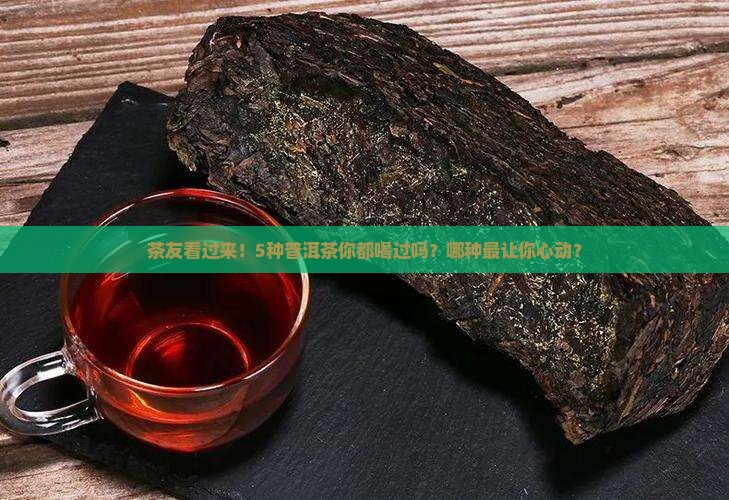 普洱茶品种哪些