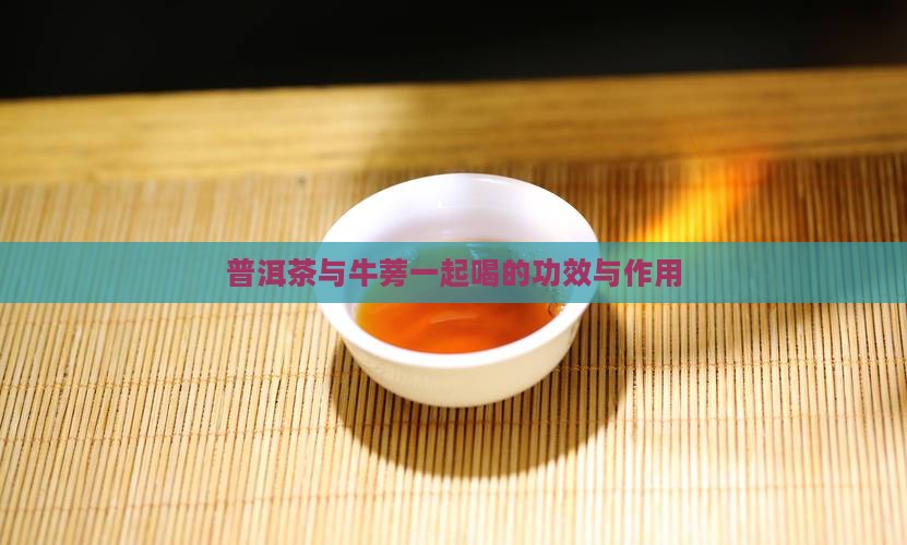 喝普洱茶加牛蒡
