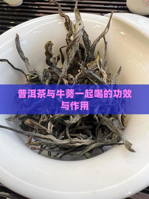 喝普洱茶加牛蒡