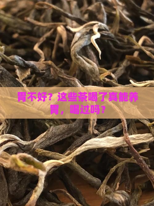 胃不好可以喝什么茶好处