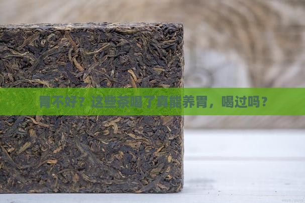 胃不好可以喝什么茶好处